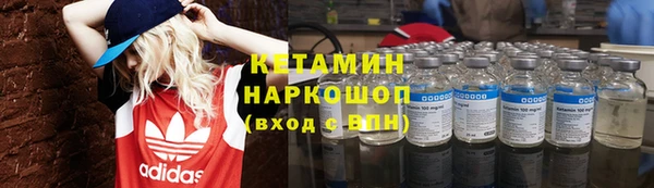 прущие грибы Кохма