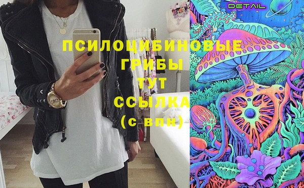 стафф Протвино