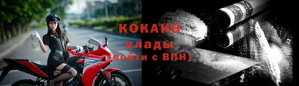 стафф Протвино