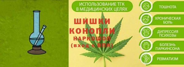 стафф Протвино