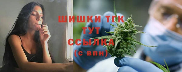 прущие грибы Кохма