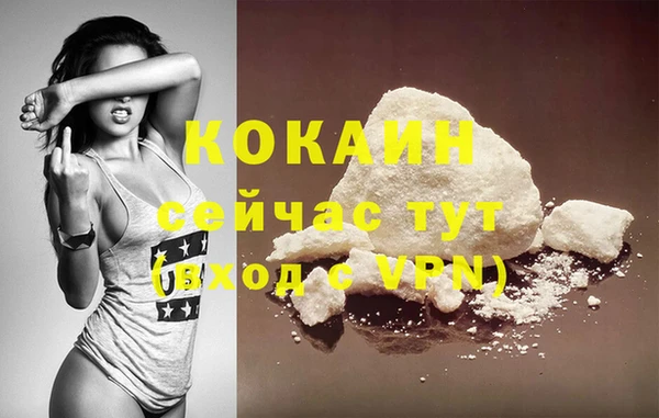 стафф Протвино