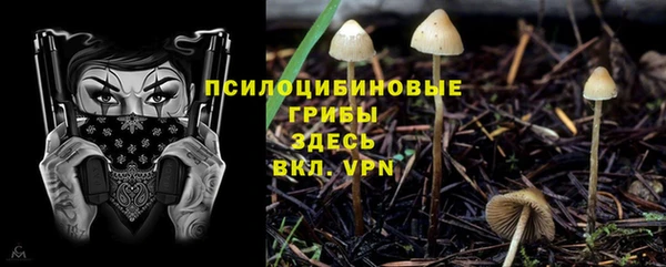стафф Протвино