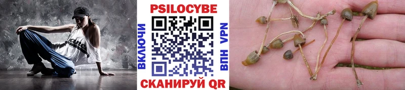 Псилоцибиновые грибы мухоморы Сердобск