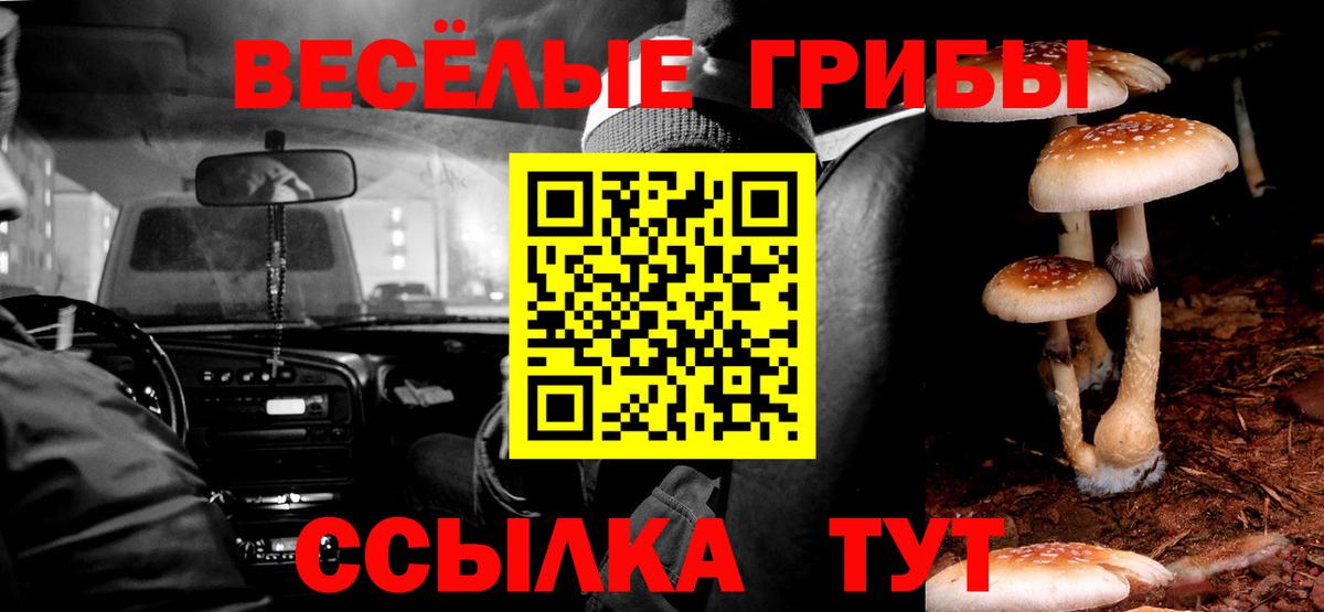 Галлюциногенные грибы мицелий  где можно купить   Сердобск 